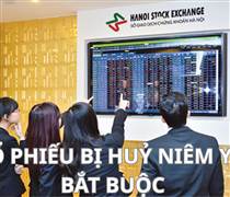 HNX hủy niêm yết bắt buộc cổ phiếu SPI, nhận hồ sơ đăng ký niêm yết cổ phiếu QNT