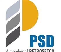 PSD: Báo cáo tài chính quý 2/2025