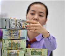 Sức ép tỷ giá 'bào mòn' lợi nhuận của doanh nghiệp