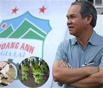 HAG: Hoàng Anh Gia Lai của bầu Đức hết lỗ lũy kế