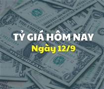 Tỷ giá hôm nay 12/9: Giá USD, NDT điều chỉnh nhẹ