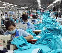 GMC: Cổ phiếu của Garmex Sài Gòn đột ngột ‘tím’ sau chuỗi đi ngang kéo dài