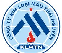 TMG: Báo cáo tài chính quý 3/2025