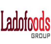 VDL: Báo cáo tài chính quý 2/2025