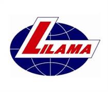 LLM: Báo cáo tài chính quý 3/2025 (công ty mẹ)