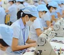 VGT: Lần đầu thu hơn 5.000 tỷ trong 1 quý, cán đích lợi nhuận sớm 3 tháng