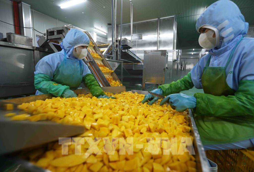 Rau quả Việt tăng tốc, tiến tới mục tiêu 10 tỷ USD