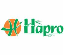 HTM: Báo cáo tài chính quý 3/2025 (công ty mẹ)