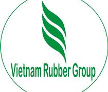 GVR: Tài liệu họp ĐHĐCĐ bất thường 2025 (cập nhật)