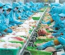 ‘Rộng đường’ cho cổ phiếu thủy sản