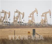 Giá dầu giảm mạnh sau dự báo của OPEC