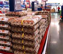 Doanh nghiệp chăn nuôi nội có vượt qua được ‘vòng vây’ khó khăn?