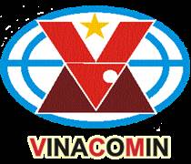 VCE: Nghị quyết Đại hội đồng cổ đông bất thường lần 1 năm 2025