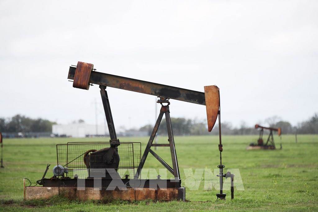 Giá dầu đi xuống khi đàm phán hòa bình Nga – Ukraine có tiến triển