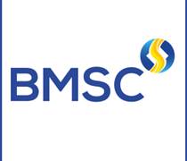 BMS: Thông báo thay đổi số lượng cổ phiếu có quyền biểu quyết