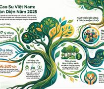 GVR 2025: Vượt thách thức, giữ nhịp tăng trưởng