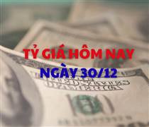 Tỷ giá hôm nay 30/12: Giá USD và NDT điều chỉnh nhẹ