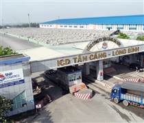 Tổng công ty Tân cảng Sài Gòn: Tổng lợi nhuận năm 2025 tăng 21,5%