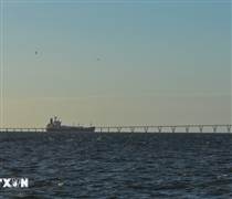 Giá dầu thế giới tăng mạnh sau khi Mỹ bắt giữ Tổng thống Venezuela