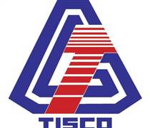 TIS: Giải trình về lợi nhuận Quý IV