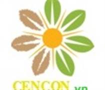 CEN: Báo cáo tài chính quý 4/2025