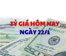 Tỷ giá hôm nay 22/1: Giá USD và NDT điều chỉnh nhẹ
