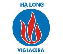 VHL: Báo cáo tài chính quý 4/2025