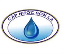 NSL: Nghị quyết Hội đồng quản trị/ Boardresolution