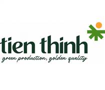 TT6: Báo cáo tài chính quý 4/2025