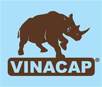 VTE: Báo cáo quản trị công ty năm 2025