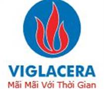 VIH: Báo cáo tài chính năm 2025