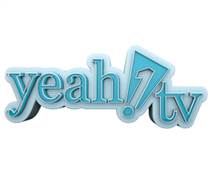 YEG: Báo cáo tình hình quản trị công ty năm 2025