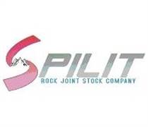 SPI: Báo cáo tài chính quý 4/2025 (công ty mẹ)