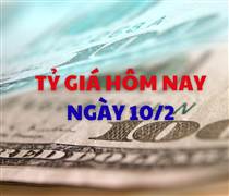 Tỷ giá hôm nay 10/2: Giá USD tiếp tục giảm, NDT nhích lên