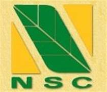 NST: Báo cáo tài chính năm 2025