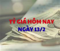 Tỷ giá hôm nay 13/2: USD quay đầu giảm nhẹ, NDT tiếp tục đi lên