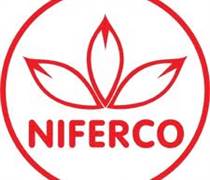 NFC: Báo cáo tài chính năm 2025