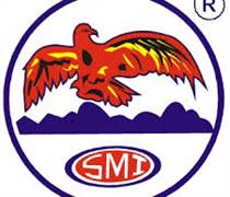 HSP: Báo cáo tài chính năm 2025