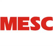 MES: Review of the status of a public company