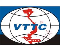 DLT: Báo cáo tài chính năm 2025