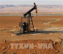 Giá dầu giảm mạnh nhất kể từ năm 2022