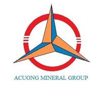 ACM: Báo cáo tài chính quý 4/2025