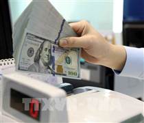 Tỷ giá hôm nay 18/3: USD và NDT biến động trái chiều