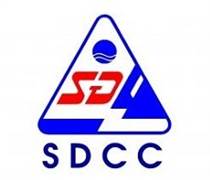 SDC: Báo cáo tài chính năm 2025 (Công ty mẹ)