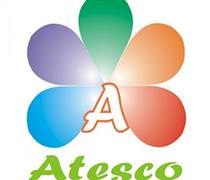 ATS: Báo cáo tài chính năm 2025