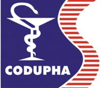 DP2: Báo cáo tài chính năm 2025