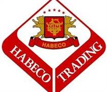 HAT: Báo cáo tài chính năm 2025