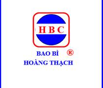 BBH: Báo cáo tài chính năm 2025