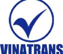 VIN: Báo cáo tài chính năm 2025