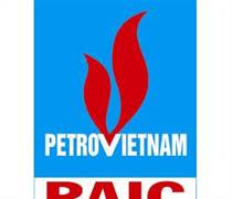 PAI: Báo cáo thường niên 2025